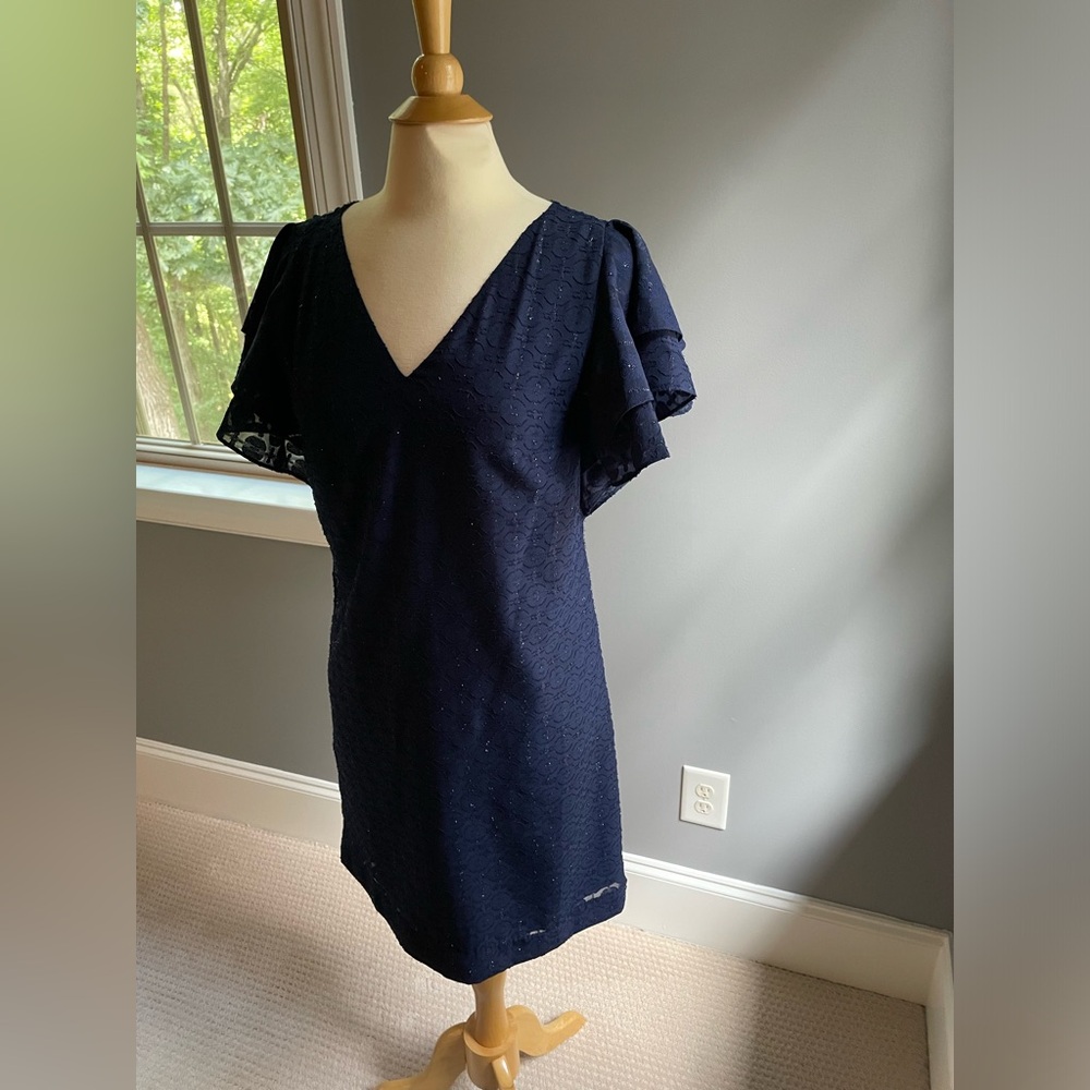Lilly Pulitzer Navy Metallic Ruffle Sleeve Dress